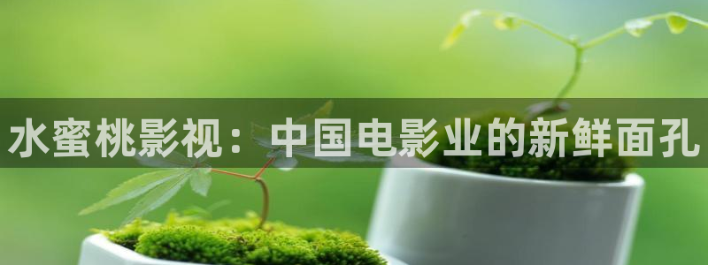51视频光棍天堂