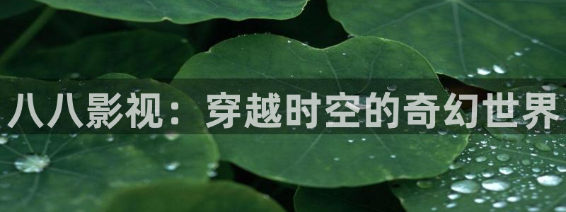 光棍影院在线手机免费观看