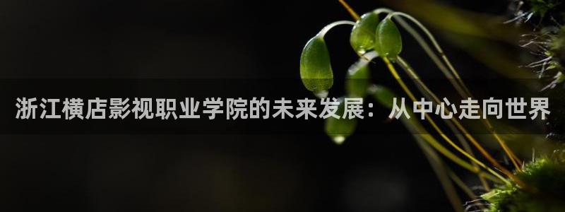 老光棍影院日韩