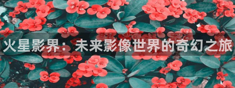 光棍电影院手机版