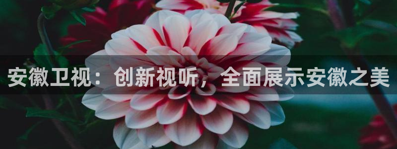 老光棍影院久久影院